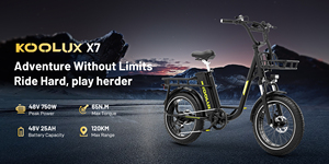 Bicicleta Eléctrica de Montaña KOOLUX Eu Stock con Suspensión Delantera, 20 Pulgadas, 48V, Motor de 250W en la Rueda Trasera, Bicicleta Urbana para Adultos de Largo Alcance - Product Image 3