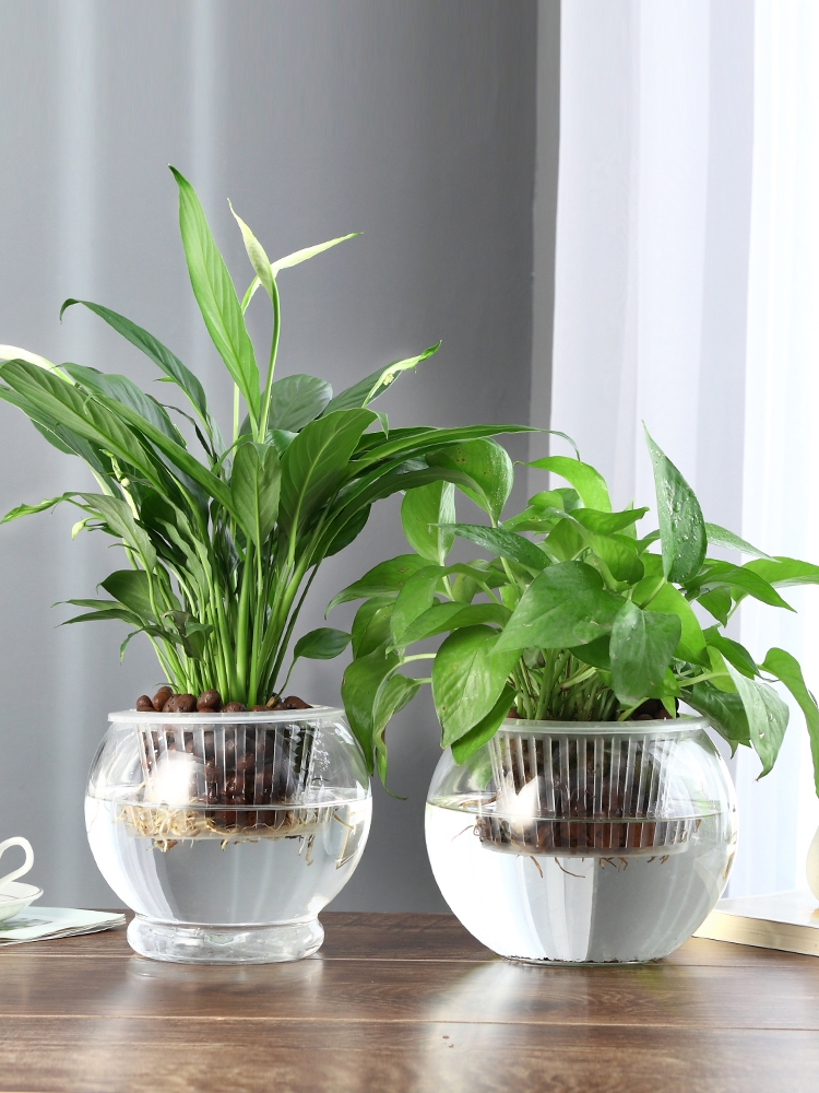 Factory Produced Wholesale Fish Tank  Aquariums & Accessories