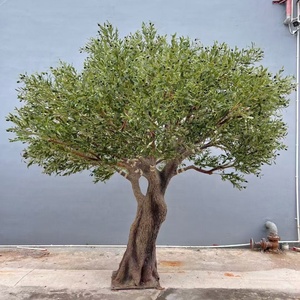 Albero di Ulivo Artificiale Classico ed Elegante in Fibra di Vetro, Decorazione Artistica da Esposizione, Ornamento 2,8m, Modello OV per il Giorno di Scherzi di Aprile - Product Image 4