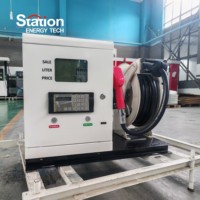 Pompe à carburant diesel mini 12V 24V CC à buse unique 50L/min, distributeur de carburant mobile portable avec imprimante optionnelle pour camion-citerne