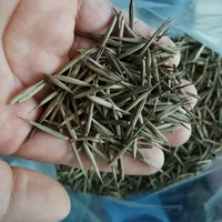 500 Gramos de Semillas de Bambú Moso Gigante (Phyllostachys Edulis) en Venta