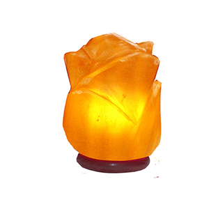 Lámpara de Sal del Himalaya 100% Pura, Tallada a Mano en Forma de Flor, de Alta Calidad, Tacto Real, Decoración para el Hogar, Mejor Precio, Nuevo Stock - Product Image 1