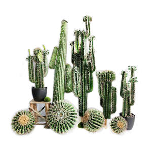 <span class=keywords><strong>Planta</strong></span> de Cactus Artificial para decoración al aire libre, para Hotel y jardín, de alta calidad, venta al por mayor - Product Image 4