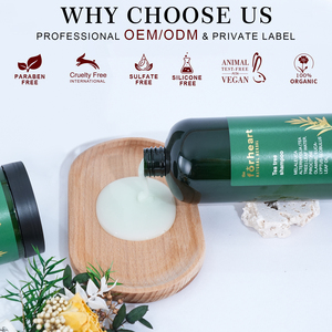 Ensemble Shampooing et Après-Shampooing Bio OEM pour la Croissance Capillaire, Traitement Épaississant et Repoussant, Soin Capillaire au Théier pour Clarifier et Nettoyer - Product Image 3