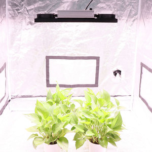 Luces LED de cultivo YXO SF1000 SF2000 SF4000, interruptor UV IR, disponible en almacén <span class=keywords><strong>ER</strong></span> BR PL BR - Product Image 6