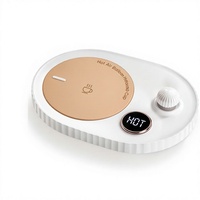 Sous-verres chauffants électriques à température constante, design élégant, coque ABS+Silicone, alimentation secteur, contrôle par bouton, 20W, garantie six mois