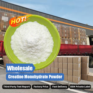 Creatina Monohidrato en Polvo Pura al por Mayor Novenzyme, Malla 200 - Product Image 1