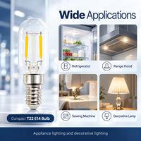 Ampoule LED à filament T22 E14, 2W, 230V, 230LM, verre transparent, 2700K, 6000K, classe énergétique E, certifiée CE UKCA, fabrication OEM ODM