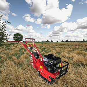 Oferta Especial: Motocultor con Motor de Gasolina, Rastrillo para Labranza, Arado de Surcos, Cultivador Rotatorio, Mini Cultivador para Terrenos Pantanosos, Cultivador de Cadena - Product Image 3