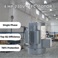 Moteur de compresseur d'air à induction monophasé IE2, 4 CV, 230 V, 60 Hz, 2800 tr/min, cadre NEMA, TEFC, montage sur pied, modèle F56C Roll