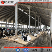 Fabrication préfabriquée en acier à faible coût Structure en acier à ossature métallique Vache Bovins Porc Mouton Chèvre Bâtiment laitier Maison de ferme