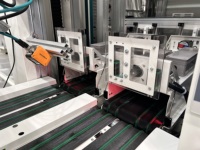 Organizador de Paquetes de Pared para Terminal de Mensajería, Máquina Clasificadora Automatizada de Doble Canal de Alta Velocidad para Procesamiento de Lotes de Paquetes Pequeños