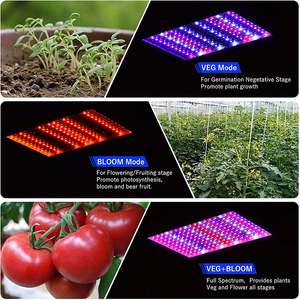 318 Venta caliente Chip Price1000w LED Grow Lights para <span class=keywords><strong>plantas</strong></span> <span class=keywords><strong>de</strong></span> interior Lámparas <span class=keywords><strong>de</strong></span> cultivo <span class=keywords><strong>de</strong></span> <span class=keywords><strong>plantas</strong></span> <span class=keywords><strong>de</strong></span> espectro completo con Veg & Bloom & Veg-bloom - Product Image 3