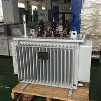 Tamamen Bakır Kaplı Sızdırmaz Yağlı Trafo 700kVA Su Tesisi Güvenilir Kalite Fabrikadan Doğrudan Toptan Satış