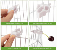 Vogelkooi Accessoires Pet Vogel Voedsel Houder Papegaai Fruit Groenten Clip Vogel Kooi Clips