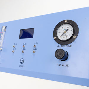 Hoge Druk 4.0 Bar 10lpm Zuurstofconcentrator Geschikt Voor Afdelingen Operatiekamers/Zuurstoftank/Anesthesiemachine - Product Image 6