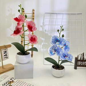 Empat bunga Phalaenopsis hujan batu Bonsai 3D dicetak Pot bunga buatan untuk kantor Desktop Dekorasi anggrek - Product Image 3