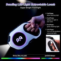 Nouvelle Laisse Rétractable USB 2025 pour Chien 5m, en Nylon Style Western avec Lampe de Poche LED, Idéale pour les Bestsellers Amazon et la Promenade en Extérieur