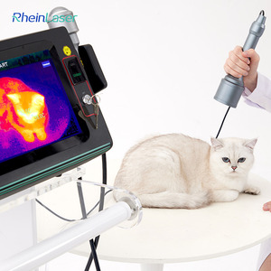 Penggunaan klinik hewan kelas 4 terapi <span class=keywords><strong>Laser</strong></span> untuk mesin pengobatan nyeri fisioterapi untuk pereda nyeri hewan - Product Image 1