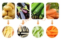 Professionele aardappelchips snijmachine, friet snijmachine