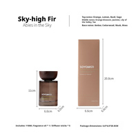 Diffuseur de parfum avec couvercle et boîte pour décoration intérieure, cadeau de mariage ou d'anniversaire, flacon en verre 110ML 200ML OEM/ODM