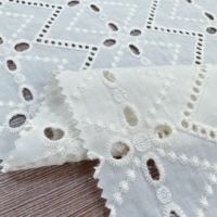Tissu en dentelle brodée à œillets en coton blanc pour robe