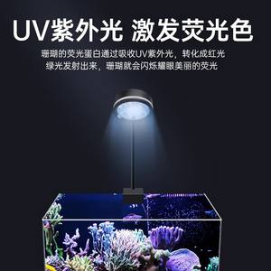 거실 물고기를위한 심해 산호 탱크를위한 직업적인 해양 수족관 LED 조명 UV 빛 현대 스타일 산호 클립 빛 - Product Image 2