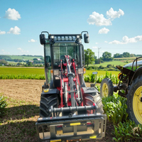 Mini chargeur agricole articulé de garantie de 1 an d'arrivée fraîche pour de petits chantiers de construction