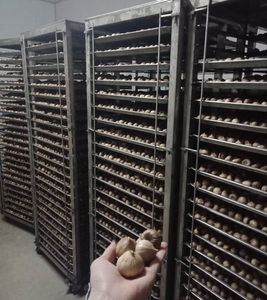 Piyasada en çok satan bir ürün; Yüksek kaliteli A + sınıfı siyah sarımsak. - Product Image 6