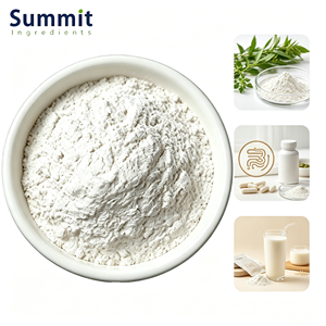Arañogalactano en Polvo de Grado Alimenticio CAS 9036-66-2, Arañogalactano de Larcha - Product Image 1