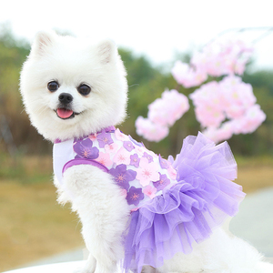 Vêtements pour animaux de compagnie en coton mignon, printemps été, jupes tutu pour chiots, robe de fête pour animaux de compagnie, robes de princesse, dentelle, robe de demoiselle d'honneur pour <span class=keywords><strong>chien</strong></span> - Product Image 4