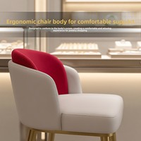 Chaise de maquillage et de présentation en acier inoxydable de luxe léger avec dossier, pour chambre à coucher, coiffeuse et salon de manucure