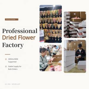 Bouquet <span class=keywords><strong>de</strong></span> fleurs séchées arc-en-ciel style Ins, mini herbe <span class=keywords><strong>de</strong></span> lapin, tiges <span class=keywords><strong>de</strong></span> <span class=keywords><strong>blé</strong></span>, décoration bohème, <span class=keywords><strong>centre</strong></span> <span class=keywords><strong>de</strong></span> <span class=keywords><strong>table</strong></span> - Product Image 6