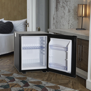 Mini réfrigérateur de bar électrique portable de 32L réfrigérateur en plastique pour petit hôtel avec présentoir de <span class=keywords><strong>porte</strong></span> moussant à des fins d'affichage des ventes - Product Image 2