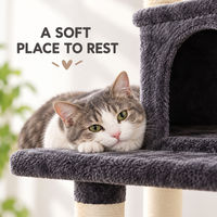 Arbre à chat compact gris avec niche fermée, poteaux en sisal et anneau suspendu