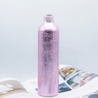 Bouteilles de voyage en aluminium argenté Récipients vides rechargeables avec bouchon à vis pour lotion shampooing huile essentielle eau et liquide