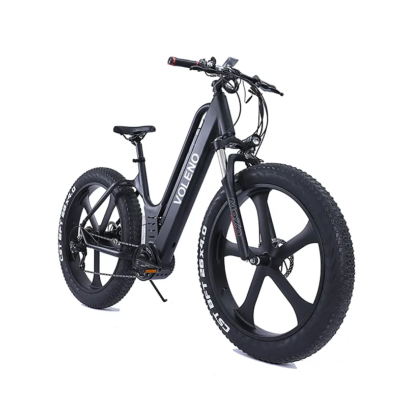 VOLENO 20 inç dağ bisikleti 48v yağ lastik Ebike lityum pil elektrikli <span class=keywords><strong>bisiklet</strong></span>