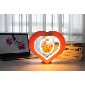 تعزيز الديكور هدية عيد الميلاد مصنع الرفع حامل زهرة وعاء المغناطيسي العائمة المحفوظة زهور طازجة بونساي شجرة - Product Image 4