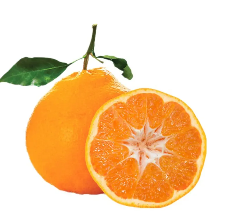 ผลไม้รสเปรี้ยวสดประเภทผลิตภัณฑ์ผลไม้ส้มแมนดารินสด