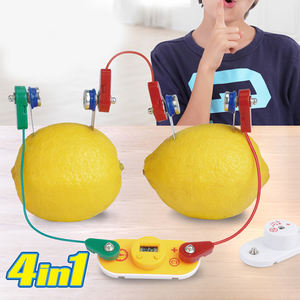4 In 1 Fruit Energieopwekking Fysica Educatieve <span class=keywords><strong>Kit</strong></span> Eenvoudige Elektrische Circuit Experiment Speelgoed <span class=keywords><strong>Science</strong></span> <span class=keywords><strong>Lab</strong></span> <span class=keywords><strong>Kit</strong></span> Voor Kinderen - Product Image 3