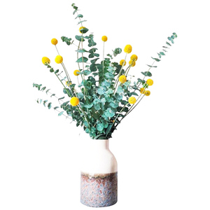 Fleurs d'été en gros : Eucalyptus naturel préservé pour la décoration intérieure - Product Image 3