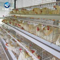 Cage de batterie de couche de poulet/cage de poussin Maison de poulet commerciale/ferme avicole 3 couches 4 couches 10 ensembles Cage 1000 ensembles fournis 90