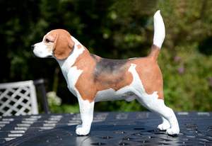 Lindo cachorro resina artesanía realista Jack <span class=keywords><strong>Russell</strong></span> Terrier perro fibra de vidrio escultura - Product Image 5