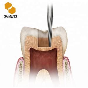 Carburo di tungsteno elettrico dentale tondo in acciaio HP cartone argento e resistente prodotto dentale articolatori dentali Cerec - Product Image 2