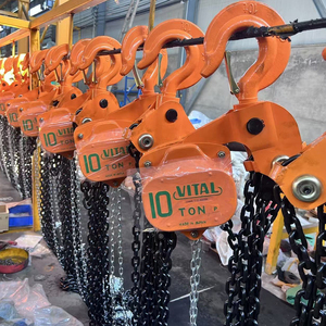 VITAL Tipe 20Ton Katrol Rantai Tangan dan Hoist Rantai Manual - Product Image 3