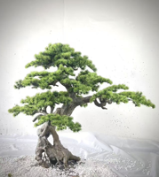 Grüner Willkommens-Kiefernbaum für Garten Außen- und Innendekoration Künstliche Kiefern im Chinesischen Stil