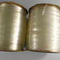 Ruban de couture élastique Transparent en Silicone pour la couture de Lingerie sous-vêtements