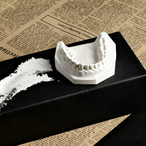 Poudre de gypse dentaire spécifique aux techniciens, sculpture fine, matériau de moulage orthodontique, sans bulles, résistance à la flexion de 10 MPa, blanc chaud - Product Image 5