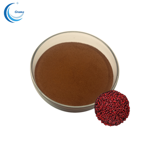 Doğal Schisandra Özü Tozu %2-%13 Schizandrin İçerikli Tedarik Edin - Product Image 1