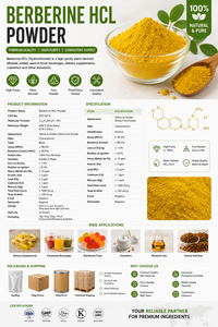Extrait naturel de racine de Coptis, chlorhydrate de berbérine (CAS 2086-83-1), supplément alimentaire à base de plantes en vrac, qualité alimentaire, poudre de berbérine HCL 97% 98% - Product Image 2